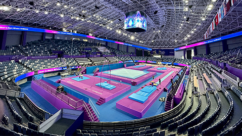 平博集团:了解塑胶跑道彩色颗粒材质的选择范围